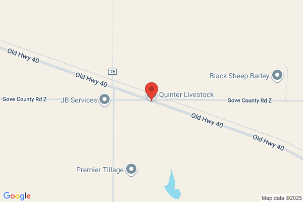 Quinter Livestock Inc