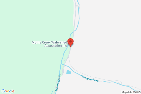 Morris Creek Insight