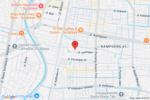 Ami Tailor, DMD
