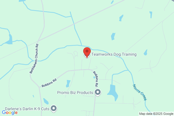 Teamworks Dog Training