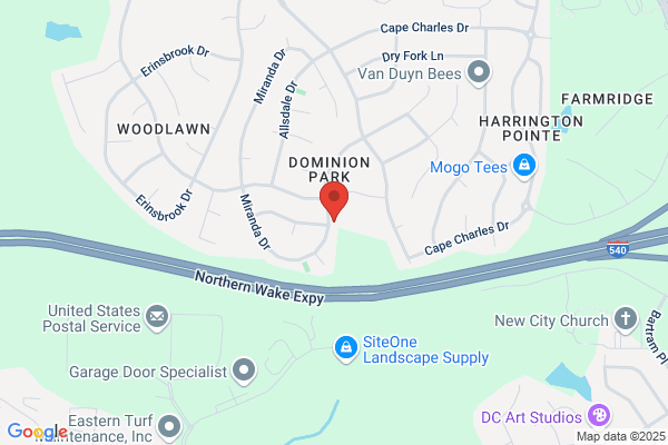 Daumen Michael Attorney