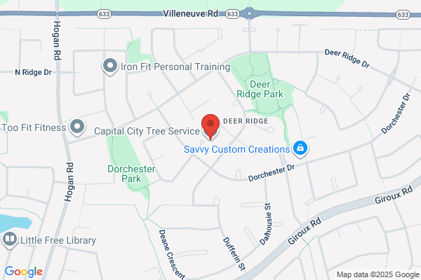 Capital City Tree Co