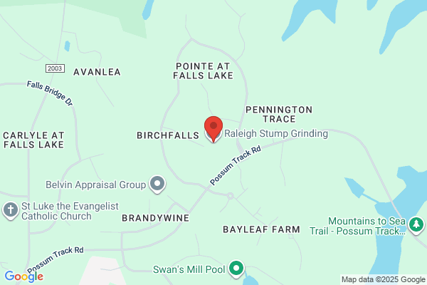 Raleigh Stump Grinding