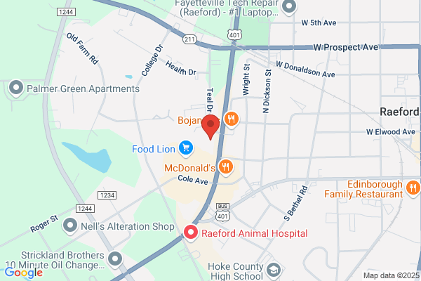 AutoZone Auto Parts