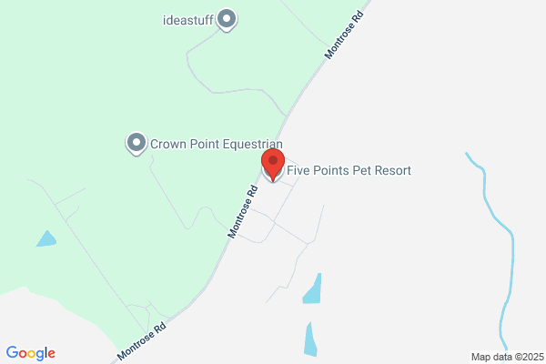 Five Points Pet Resort at Vass