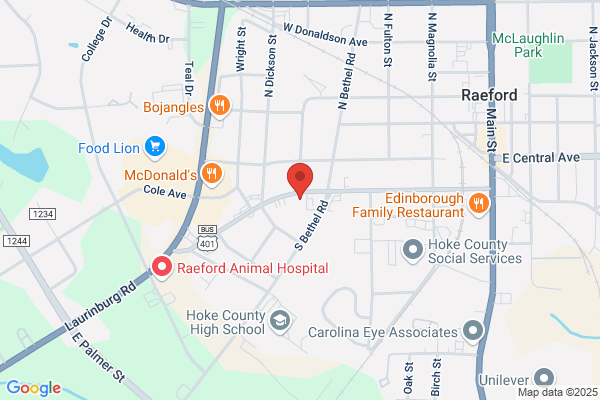 Raeford Auto Sales Inc