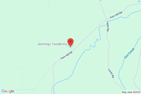 Jennings Taxidermy