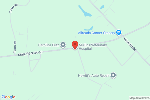 Mullins Veterinary Hospital