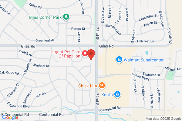AutoZone Auto Parts