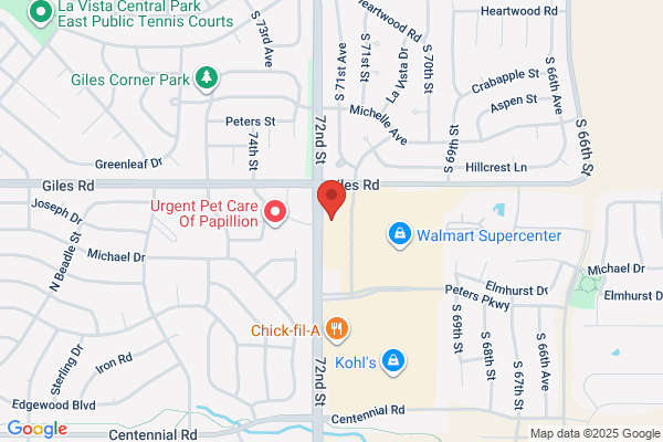 Papillion Dental Care