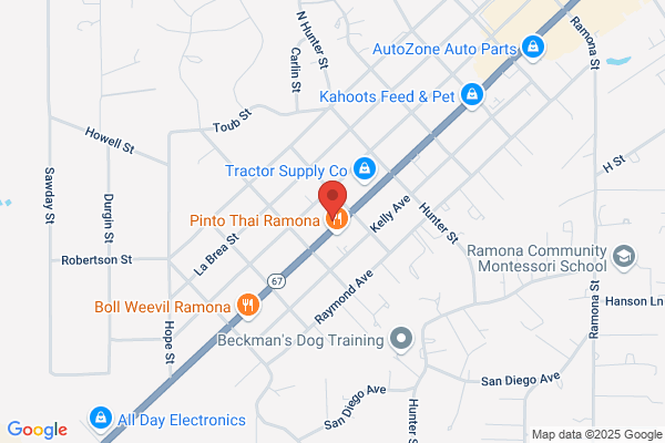 Ramona Transmissions