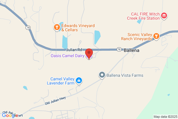 Oasis Camel Dairy