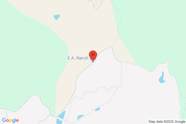 El Rancho Ruidoso Quarter Horse Sales & Breeding