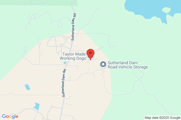 Taylor Made Working Dogs