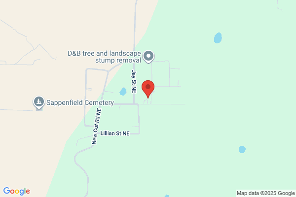 W.O. Tree and Stump Removal