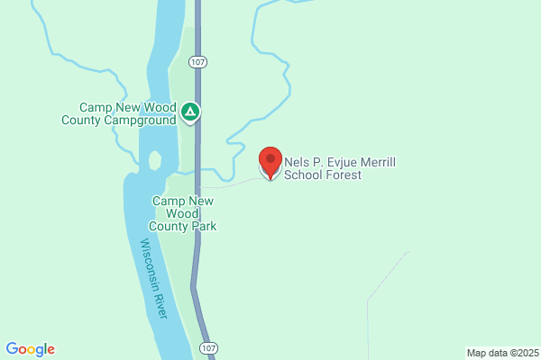 Merrill Forrest G