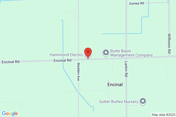 Hammond Electric