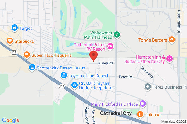 Cat City Auto Body Inc