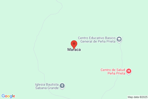 Maracas