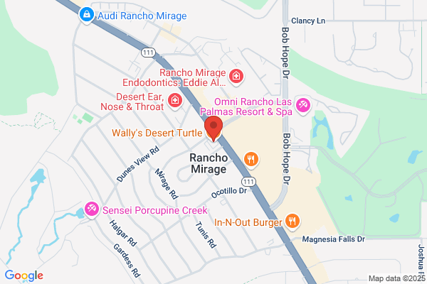 Wally's Desert Turtle