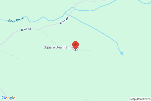 Square Deal Dairy