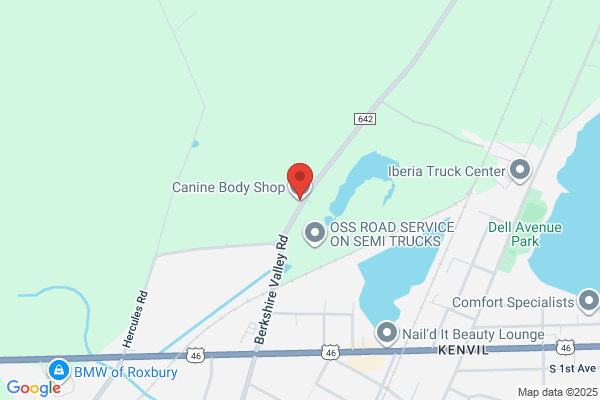 Canine Body Shop
