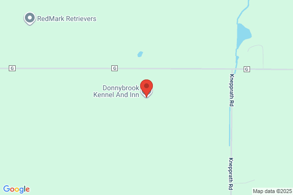 Donnybrook Kennel And Inn