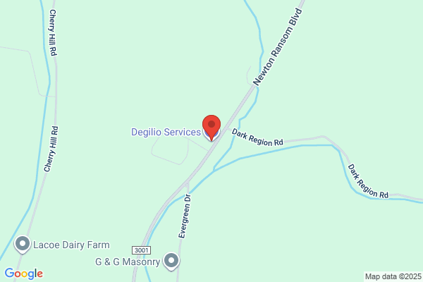 Degilio Services Inc