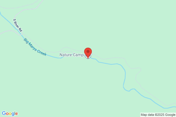 Nature Awareness School