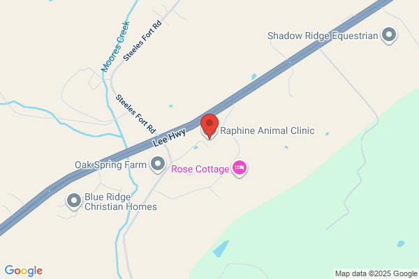 Raphine Animal Clinic