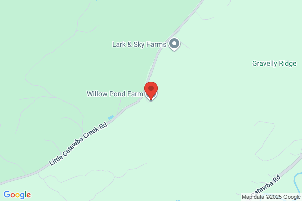 Willow Pond Farm Bed & Breakfast