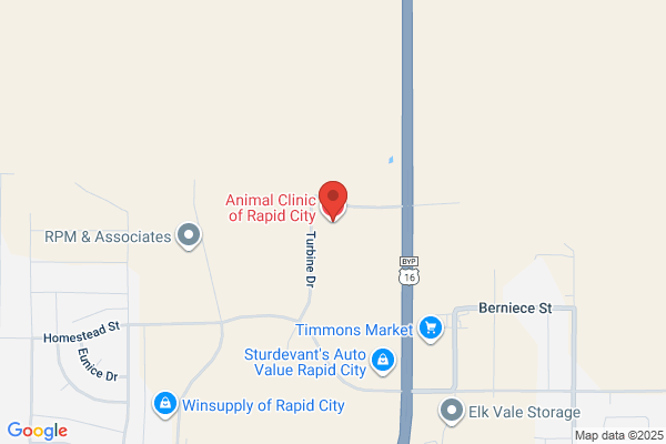 Animal Clinic of Rapid City