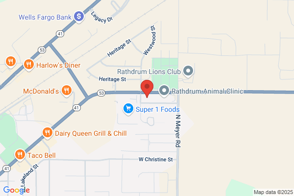 O'Reilly Auto Parts