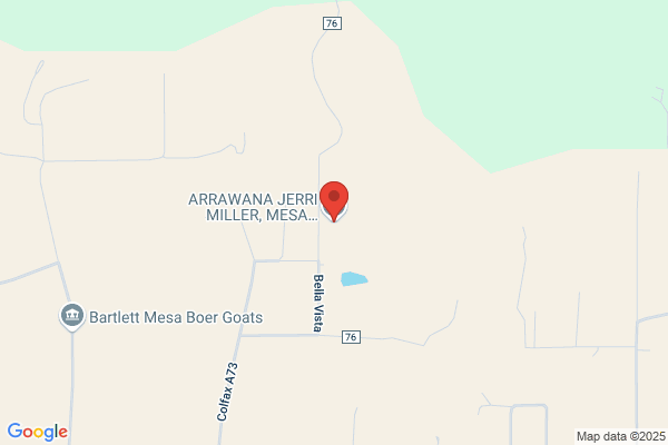 Mesa View Realty, LLC
