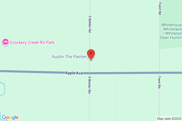 Austin Painting