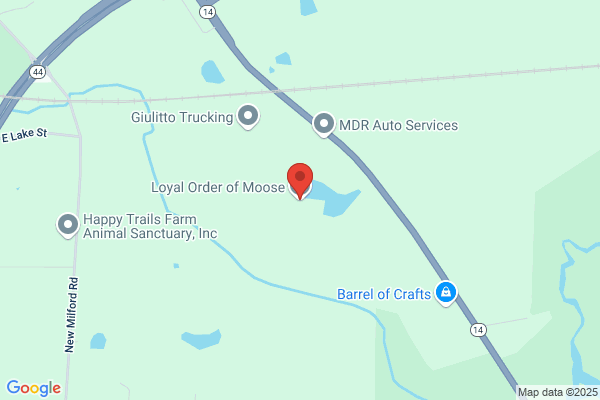 Moose Home