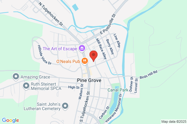 Pine Grove, Police