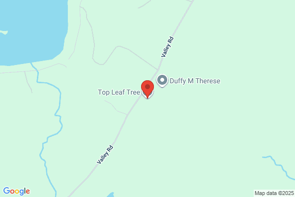 Top Leaf Tree LLC
