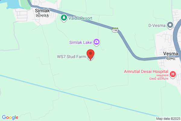 Wpf Stud Farm