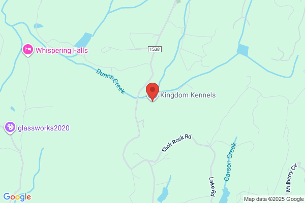 Kingdom Kennels