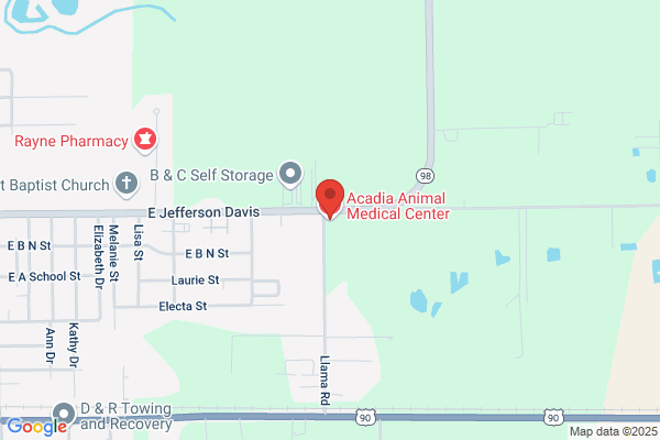 Acadia Animal Medical Center, LLC