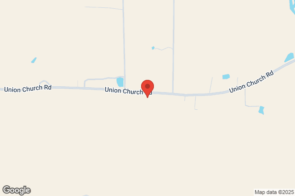 Little Paws Kennel and Pooch Salon