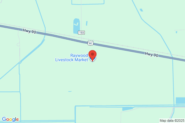 Raywood Livestock