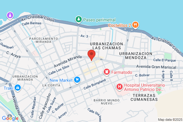 Auto Repair El Venezolano