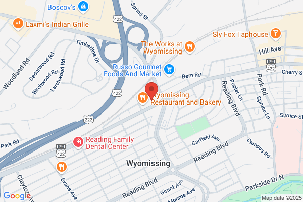 Wyomissing Surgical Services