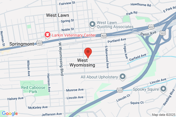 Fire, West Wyomissing