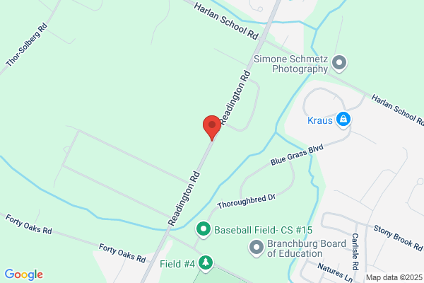 Readington Township Schools, Readington School