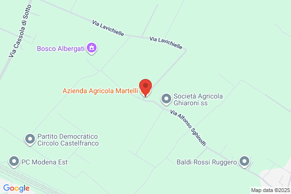 Martelli Leonard Aia