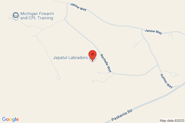 Trailhead Labrador Retrievers