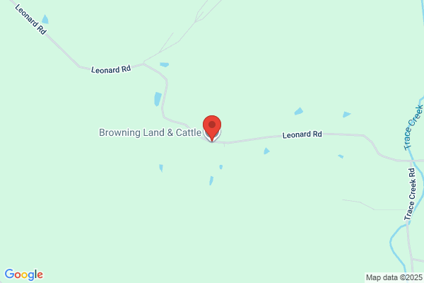 Browning Stacey Farms